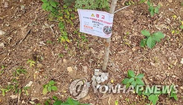 광견병 미끼 예방약 (서울=연합뉴스) 서울시는 야생동물을 통해 전파되는 광견병을 예방하기 위한 '광견병 미끼 예방약'(사진) 4만 개를 서울 둘레길과 너구리 출몰 공원을 중심으로 살포한다고 1일 밝혔다. 2025.4.1 [서울시 제공. 재판매 및 DB 금지] photo@yna.co.kr