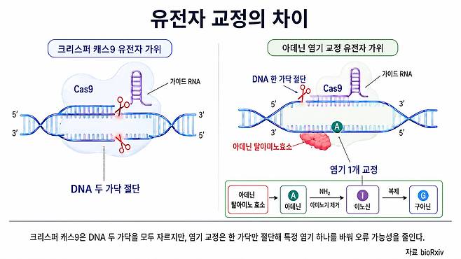 염기 교정 원리./자료 bioRxiv, 챗GPT 생성 이미지