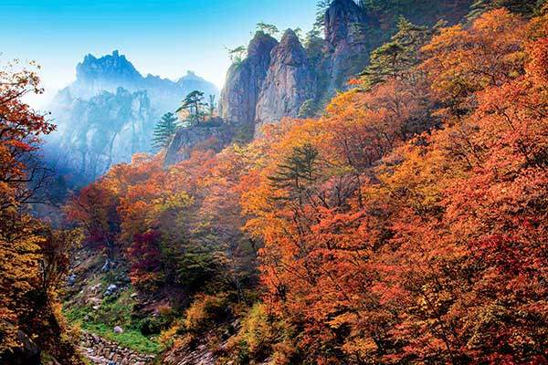 가을 설악산 흘림골. 사진 이신영 차장.