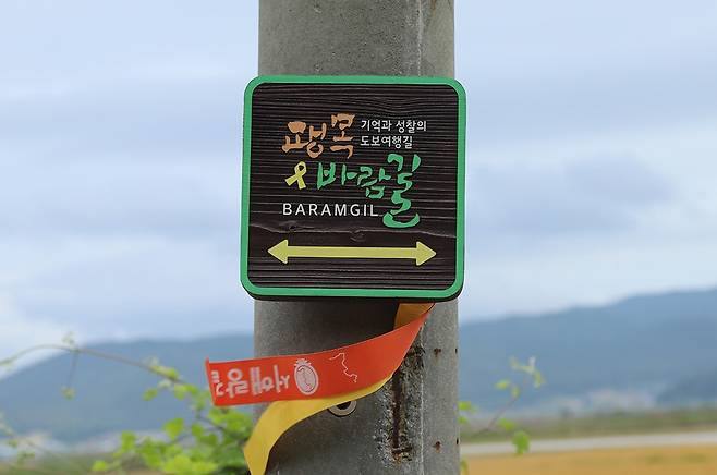 서해랑길 10코스와 일부 겹치는 ‘팽목바람길’은 팽목항 ‘세월호 기억의 벽’에서 출발해 팽목마을, 팽목방조제, 다순기미, 마사마을, 간척지 갈대밭길을 거쳐 팽목항으로 돌아가는 약 12㎞에 이르는 길이다.