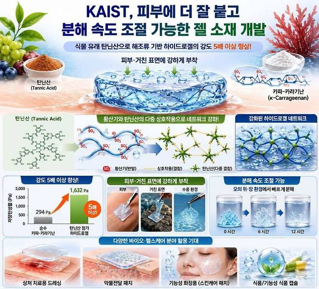AI 생성 이미지. KAIST