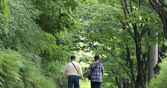 초여름 이른 더위가 이어진 지난 5월 19일 대구 도심에서 노인들이 녹음 짙어가는 가로수길을 걷고 있다. /뉴스1