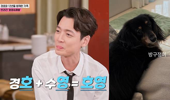 배우 정경호(43·사진)가 그룹 소녀시대 출신 배우 최수영(36)과의 결별을 인정한 날 전한 반려견 호영이 근황에 관심이 쏠렸다. /사진=ENA '최화정 김호영의 보고싶었어' 방송 화면, 정경호 인스타그램