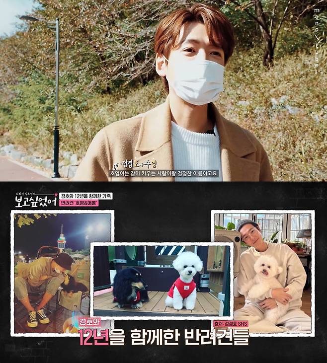 배우 정경호가 2020년 유튜브 채널 '모노튜브' 영상과 지난해 ENA 예능 프로그램 '최화정 김호영의 보고싶었어'에 출연해 반려견 호영이의 작명 이유에 대해 밝혔다. /사진=유튜브 채널 '모노튜브' 영상, ENA '최화정 김호영의 보고싶었어' 방송 화면