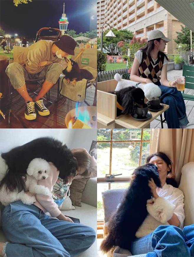 배우 정경호와 그룹 소녀시대 출신 배우 최수영이 교제 기간 동안 공개한 반려견과 함께한 사진들. /사진=정경호, 최수영 인스타그램