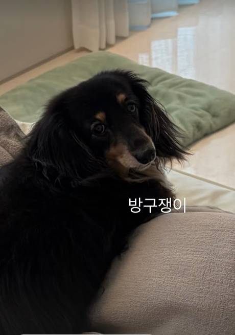 9일 정경호 개인계정