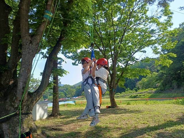 ▲ 늘봄학교에 참여한 학생들이 트리클라이밍과 숲 밧줄놀이 등 다채로운 오감만족 체험을 하고 있다. /충북도교육청 제공