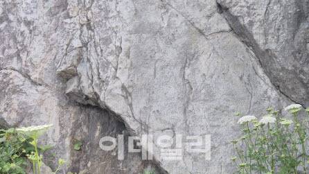 울릉군 서면 학포마을 임오명각석문(사진=손의연 기자)