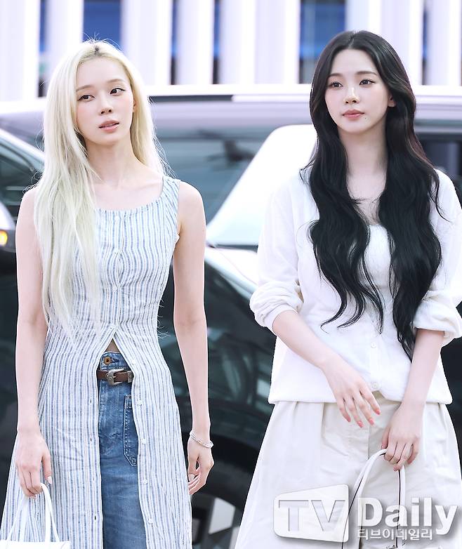 티브이데일리 포토