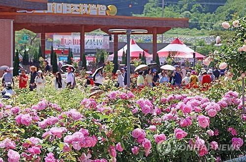 임실N장미축제 성황 [임실군 제공. 재판매 및 DB 금지]
