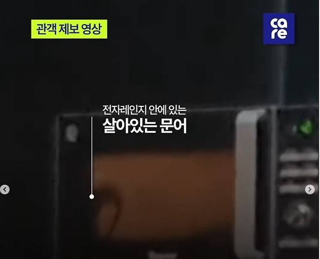 국제현대무용제 공연에서 살아있는 문어를 전자레인지에 넣은 장면. 해당 영상은 관객 제보를 받아 동물권단체 케어가 공개했다. 사진=케어 인스타그램 갈무리