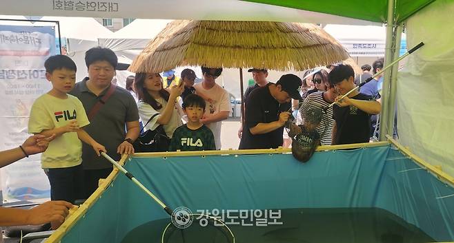 ▲저도어장에서 잡은 대문어를 잡아보는 체험프로그램이 이날 축제장을 찾은 어린이들에게 큰 인기를 끌고 있다. 김주현 기자