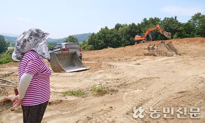 충남 홍성지역에서 사상 처음으로 과수화상병 확진 판정을 받은 사과 재배농가 최모씨가 11일 씁쓸한 표정으로 매몰 처리 중인 과원을 바라보고 있다.