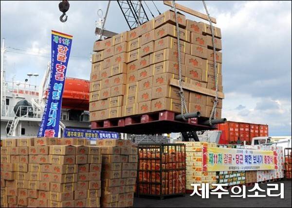 2000년대 북한으로 전달되는 제주 감귤. ⓒ제주의소리 자료사진
