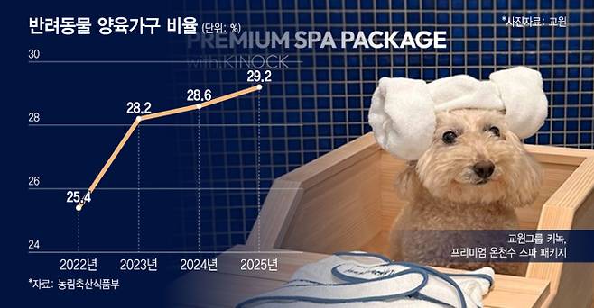 /그래픽=윤선정 디자인 기자