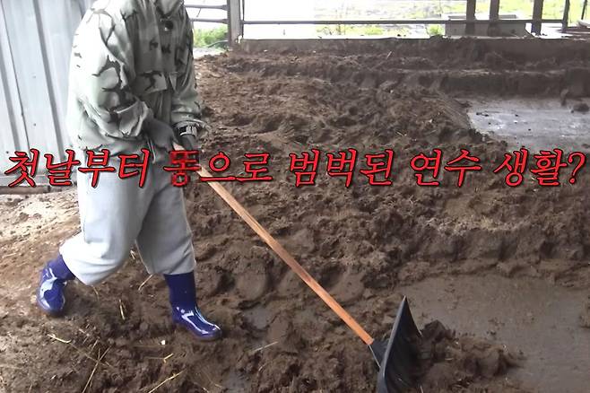 출처:tvN '콩 심은 데 콩 나는 가고팜 하고팜 동물농장'