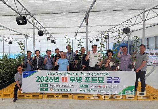 ▲ 울산원예농협은 지난 19일 울주군 대복리 스마트 묘목센터에서 조합원 48농가를 대상으로 배 포트묘 2000주를 공급했다. 울산원예농협 제공