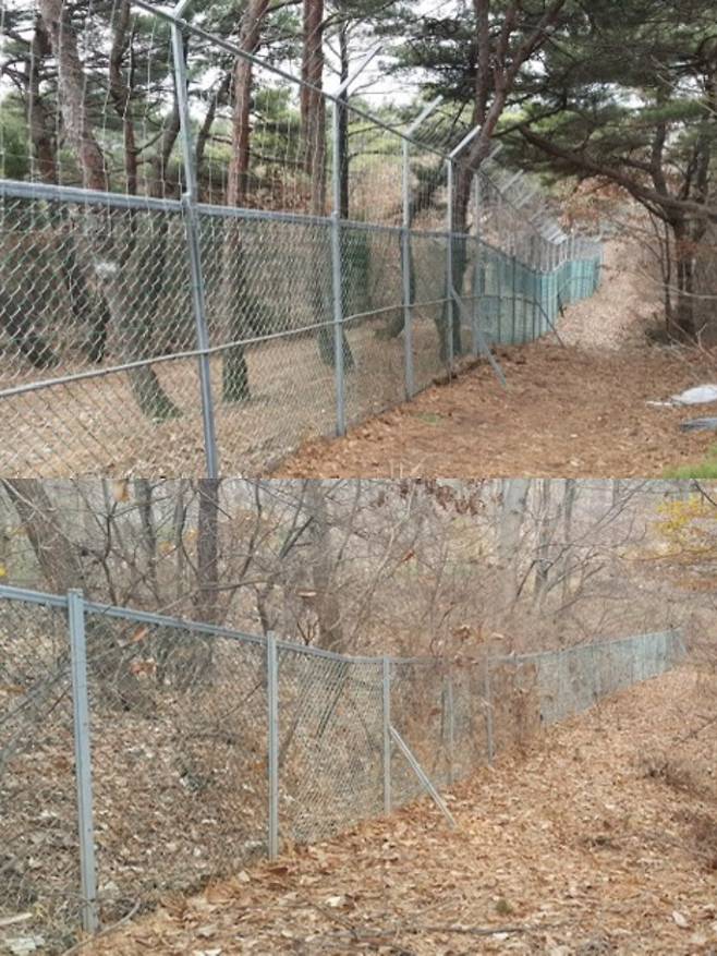 오월드 동물원을 감싸고 있는 북쪽 외곽 울타리(위쪽). 연장 공사 예정인 남쪽 외곽 울타리. 대전도시공사 제공
