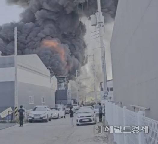 [헤럴드경제 독자 제공]