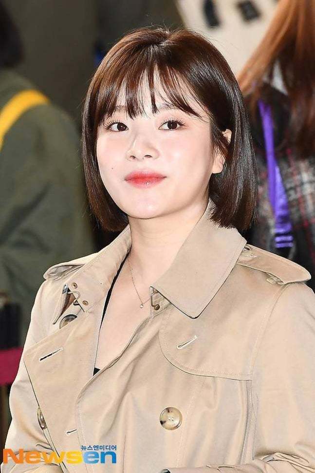 뉴스엔DB