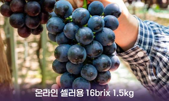 한국농수산식품유통공사 제공