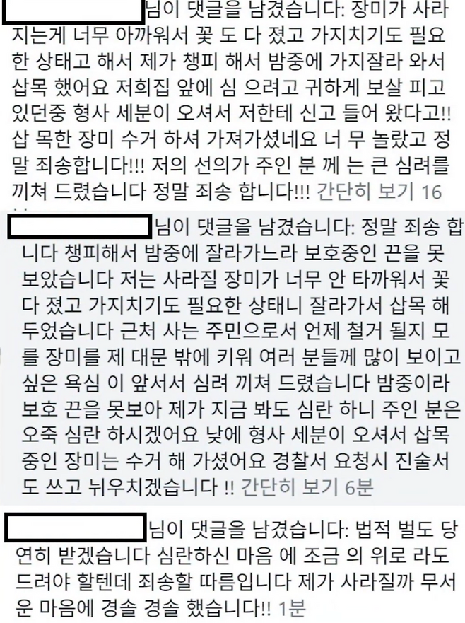 한 누리꾼이 자신이 장미를 가져간 사람이라고 밝히며 사과 댓글을 남겼다. 인스타그램 캡처