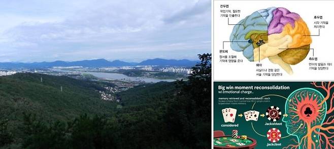 왼쪽부터 경기도 구리시 아치울 전경(빌드빌드), 뇌에서 기억의 담당 영역(사이언스올), 기억의 재공고화(mertsplus). 사진=유영현 제공