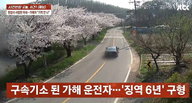 벚꽃을 구경하던 40대 부부가 음주운전 차량에 치여 아내가 숨지는 사고가 발생했다. 해당 차량은 중앙선을 넘으며 주행하는 등 음주 후 운전을 한 것으로 조사됐다. JTBC ‘사건반장’ 갈무리