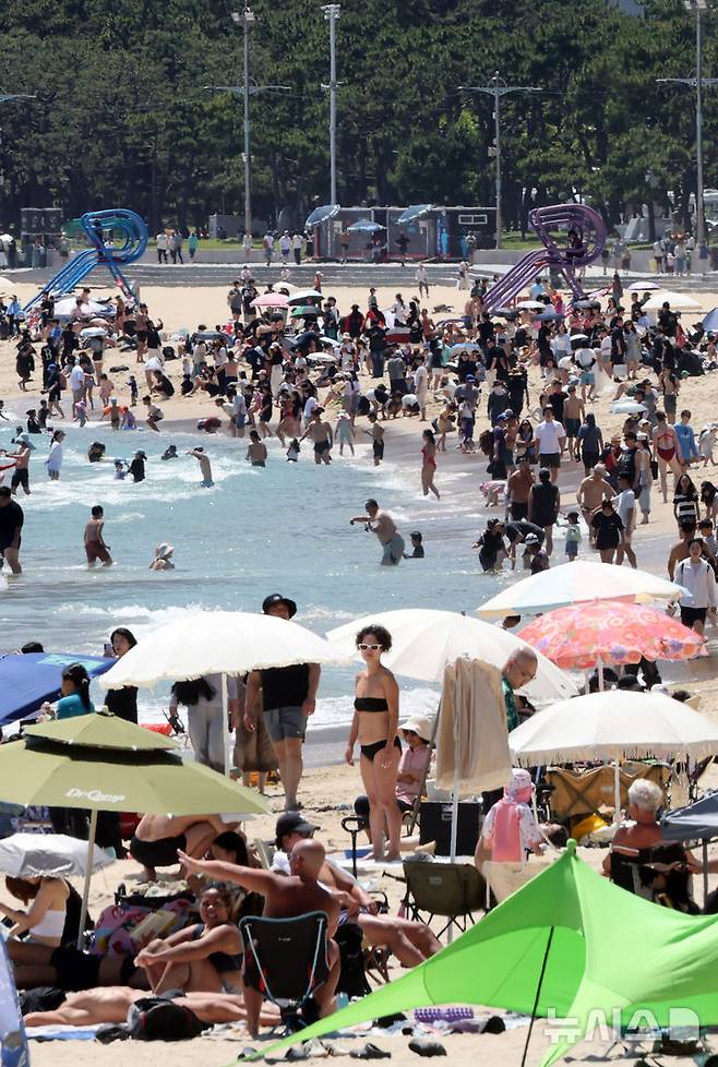 [부산=뉴시스] 하경민 기자 = 부산 해운대·송정해수욕장 개장 첫 주말인 28일 해운대해수욕장에서 시민과 관광객들이 물놀이를 즐기고 있다.  송도·광안리·다대포(동측·서측)·일광·임랑 등 부산지역 나머지 5개 해수욕장은 오는 7월1일 개장한다. 이 중 해운대는 9월15일까지, 나머지 6개 해수욕장은 8월31일까지 문을 연다. 2026.06.28. yulnetphoto@newsis.com