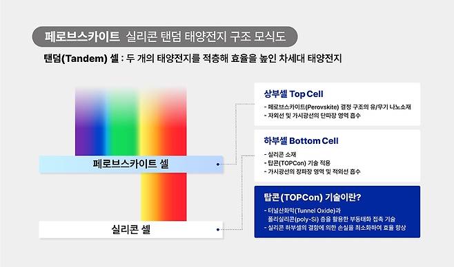 ▲페로브스카이트 탠덤 셀 구조 모식도. 자료=한화솔루션