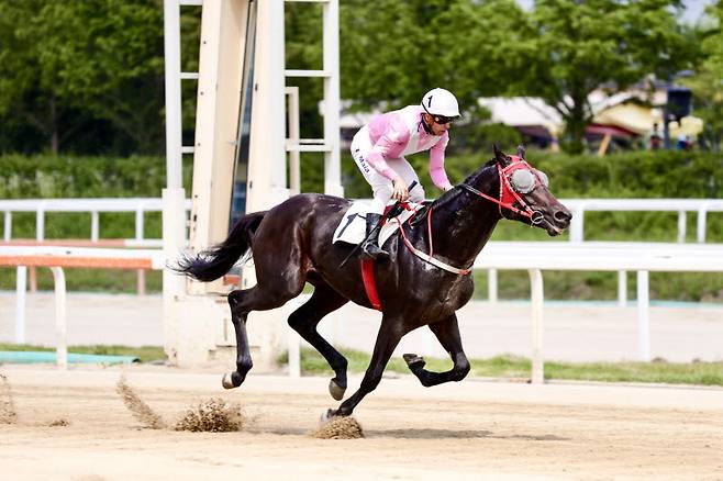 기수와 경주마가 1위로 결승선을 통과한 뒤 트랙을 질주하고 있다. (사진=한국마사회)