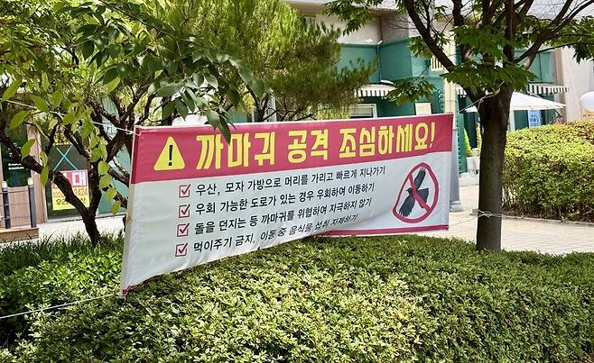 ▲&nbsp;지난달 28일 인천 연수구 송도 센트럴파크 인근 사거리에 큰부리까마귀 공격에 주의할 것을 당부하는 현수막이 걸려 있다. /정슬기 기자 zaa@incheonilbo.com