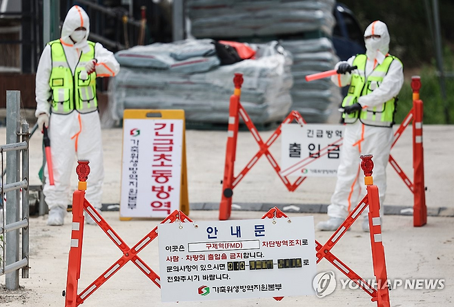 3일 경북 예천의 한 한우농가가 구제역 발생으로 통제되고 있다. 연합뉴스