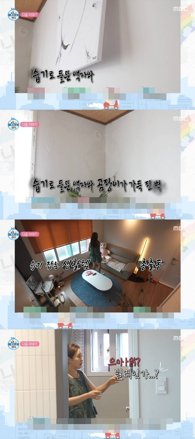 Kwon Yuri, a member of Girls Generation and an actress, appeared on the MBC variety show I Live Alone and shared a glimpse into her daily life at her home on Jeju Island, which overlooks Seongsan Ilchulbong. While showing how she enjoys the romance of living on Jeju, Kwon Yuri also candidly revealed the practical challenges she faces, such as battling mold and bugs caused by humidity.