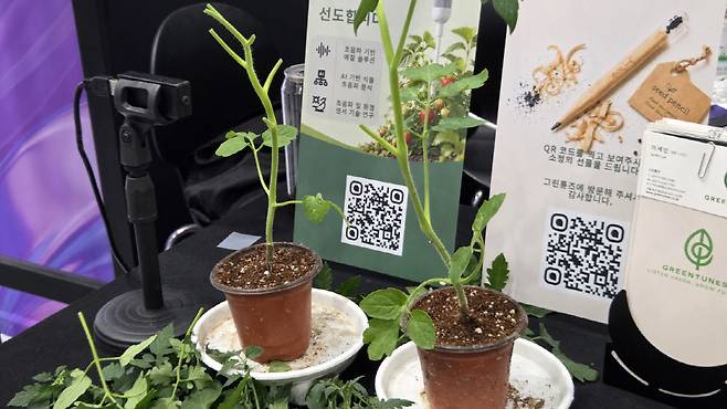 지난달 18일 서울 강남구 코엑스에서 열린 아시아 최대 스타트업 페어 '넥스트라이즈'의 그린튠즈 부스에 가지치기 한 식물들이 있다.(사진=김세연기자)