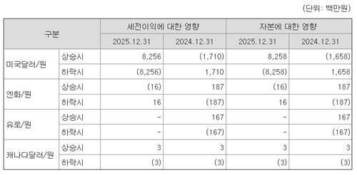 환율 변동 시 동국홀딩스의 세전이익과 자본에 미치는 영향[출처: 동국홀딩스]