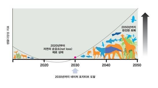 더많은자연(Nature Positive) 개념도. (자료 풀씨행동연구소 이슈페이퍼)/뉴스펭귄&nbsp;