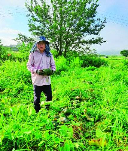 한형선 약사는 직접 농사를 짓기 위해 20여 년 전 서울에서 충주로 이사했다.&nbsp;