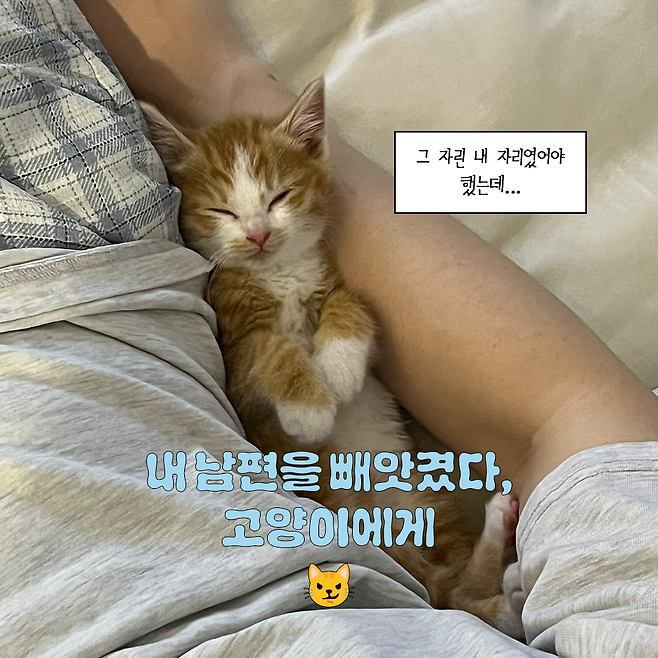 동그람이, 보호자 제공