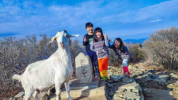 2024년 고헌산 산행 중 염소를 만났다.