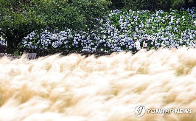 강풍특보 내려진 제주 (서귀포=연합뉴스) 박지호 기자 = 제주도에 강풍특보가 발효된 12일 서귀포시 표선면 성읍리 보롬왓을 찾은 방문객이 강한 바람을 맞으며 산책하고 있다. 2026.7.12 jihopark@yna.co.kr
