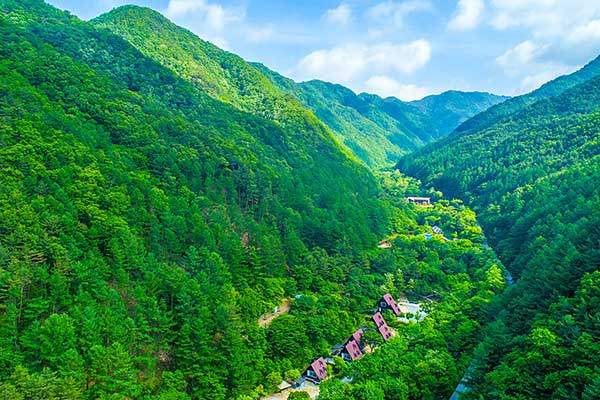 ��ġ��� ����. �Ϸ��� �������ϱ� ���� �޾縲�̰�, ����� ���°谡 �� ������ ���ð���̴�. �ָ� ��ϻ꿡�� ���� ���� �ֺ� �ٱⰡ ���δ�. ���� �籸������