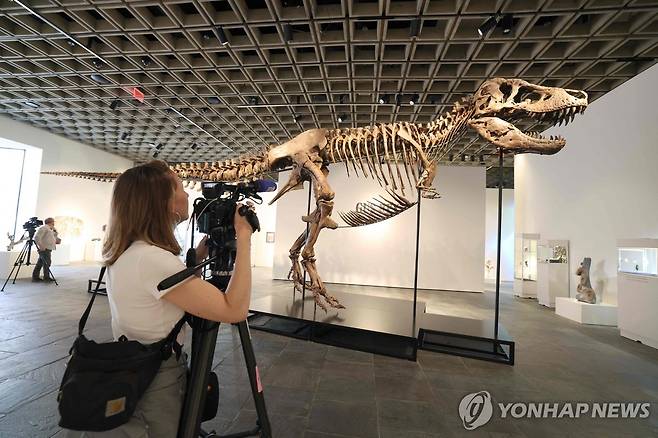 뉴욕 소더비 경매에 나오는 티라노사우루스 화석 [AFP=연합뉴스. 재판매 및 DB 금지]