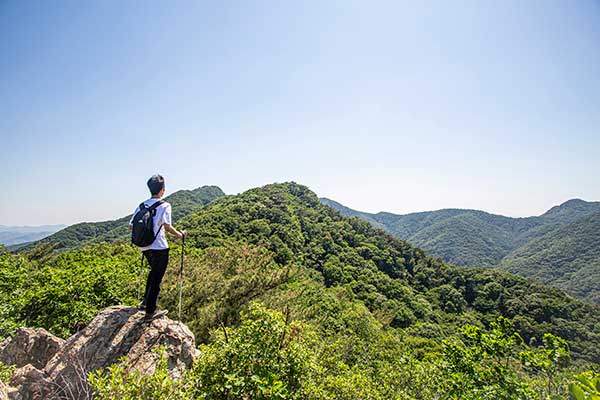 태을봉~슬기봉 구간 능선. 참나무로 뒤덮인 수리산의 굴곡은 바람이 불면 바다에 일렁이는 파도처럼 보인다.