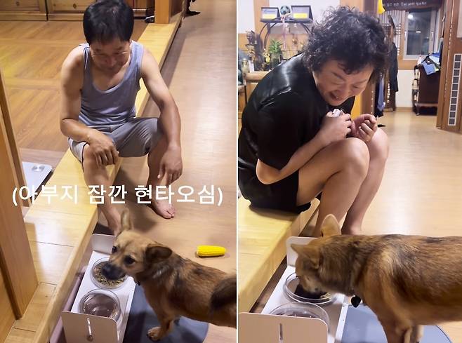 옆에서 지켜봐 줘야 밥 잘 먹는 강아지 '무찌'(인스타그램 muzzi_zzz 제공) ⓒ 뉴스1