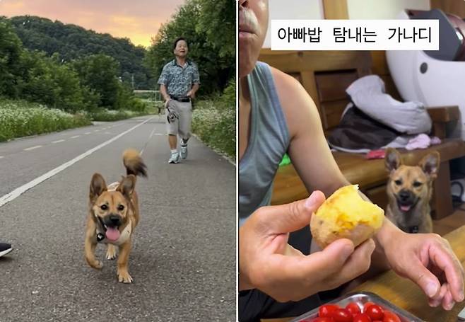 가족과 행복한 일상을 보내는 무찌(인스타그램 muzzi_zzz 제공) ⓒ 뉴스1