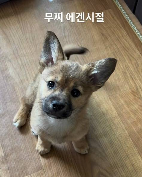 지금보다 더 어린 시절의 무찌(인스타그램 muzzi_zzz 제공) ⓒ 뉴스1