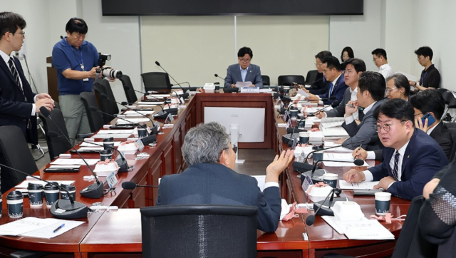 국회 정무위원회 유동수 위원장을 비롯한 더불어민주당 의원들이 20일 국회 의원회관에서 열린 국회 정무위원회 당정에서 이억원 금융위원장과의 당정을 마친 뒤 이찬진 금감원장을 기다리며 얘기를 나누고 있다. 연합뉴스