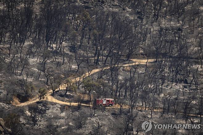 스페인 산불 피해 [EPA=연합뉴스 자료사진. 재판매 및 DB 금지]