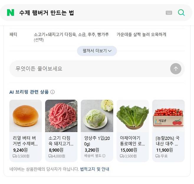 네이버 AI브리핑 검색 화면 / 사진=윤석진 머니투데이방송기자